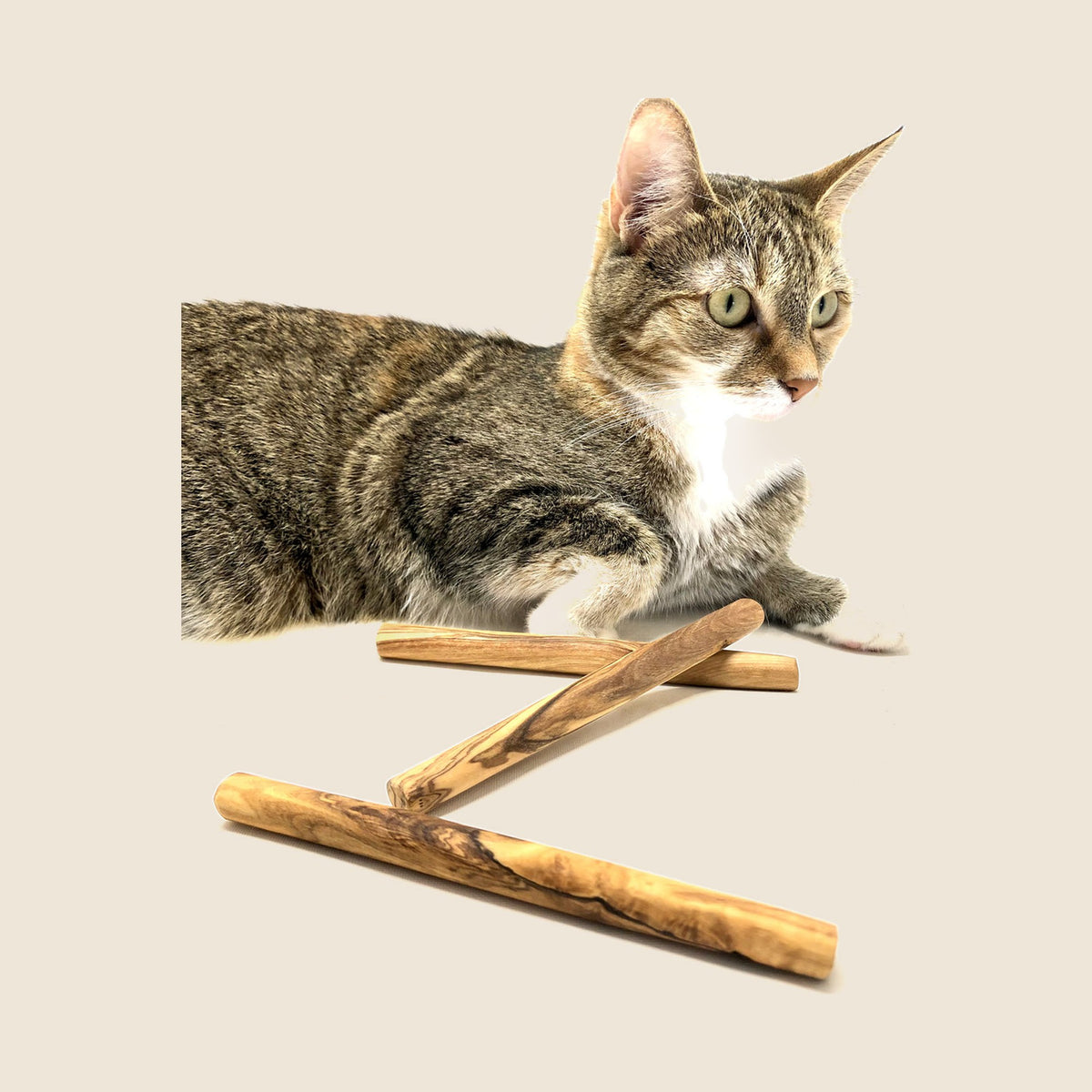 Kauknochen aus Olivenholz für kleine Hunde oder Katzen (3er Set)