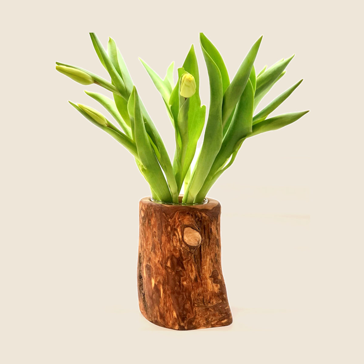 Vase Valentina
